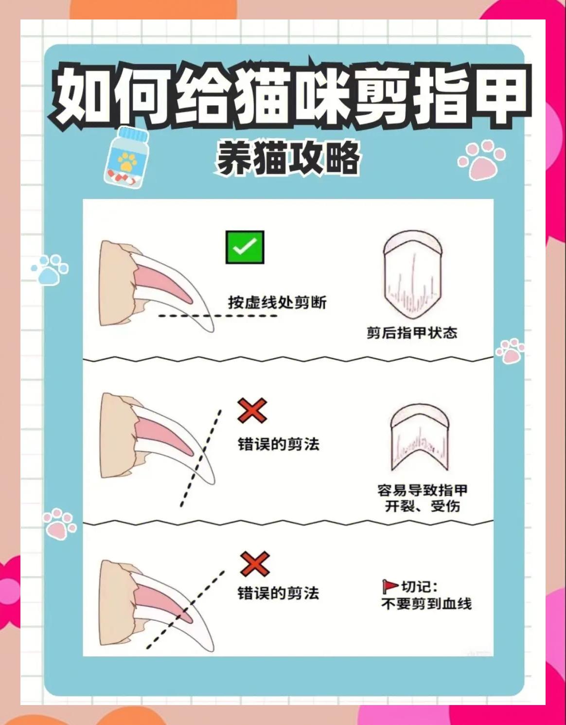 给猫剪指甲剪出血了怎么办啊